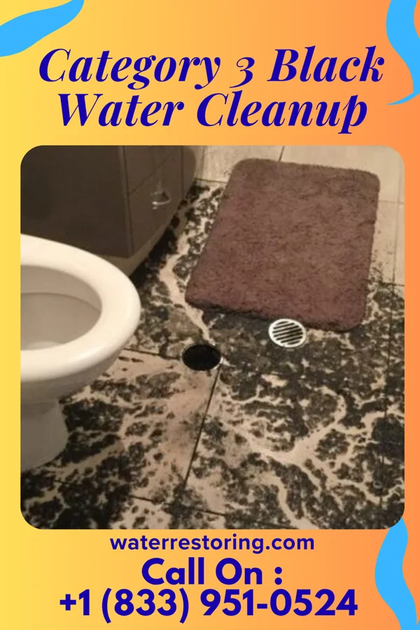 Category 3 Black Water Cleanup in Waltham, MA