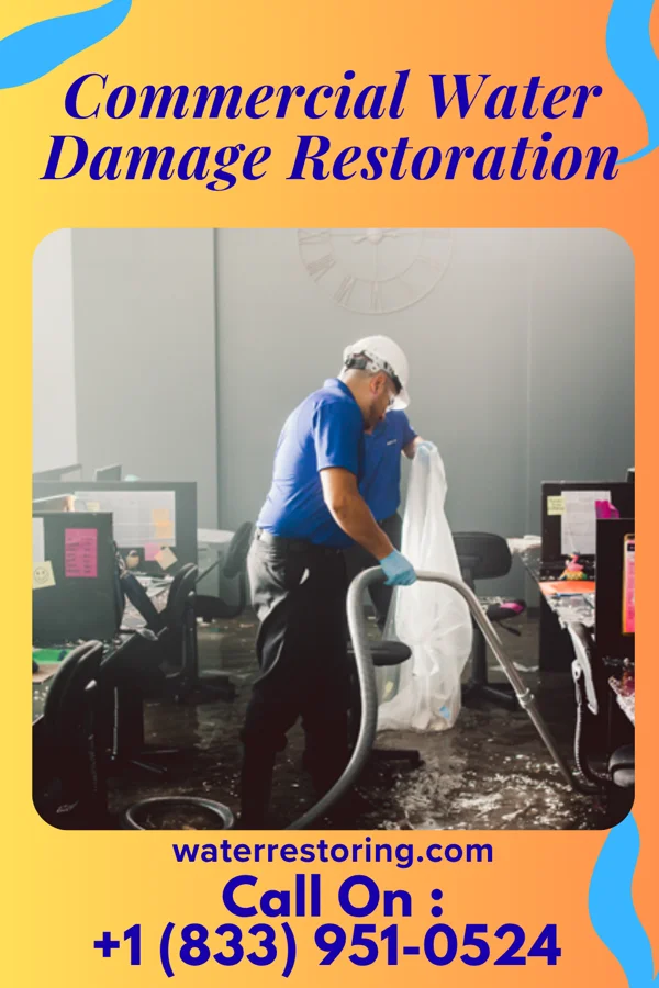 Commercial Water Damage Restoration in Waltham, MA