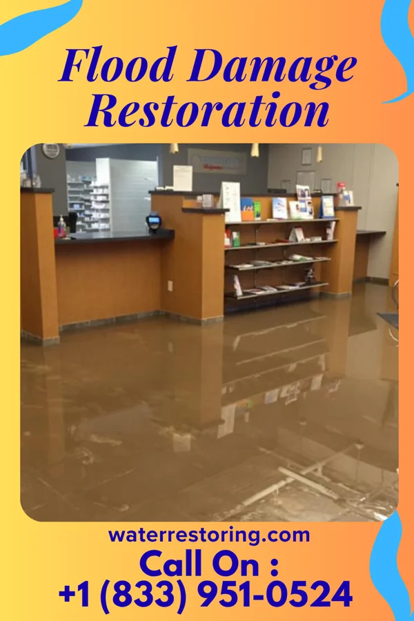 Flood Damage Restoration in Waltham, MA