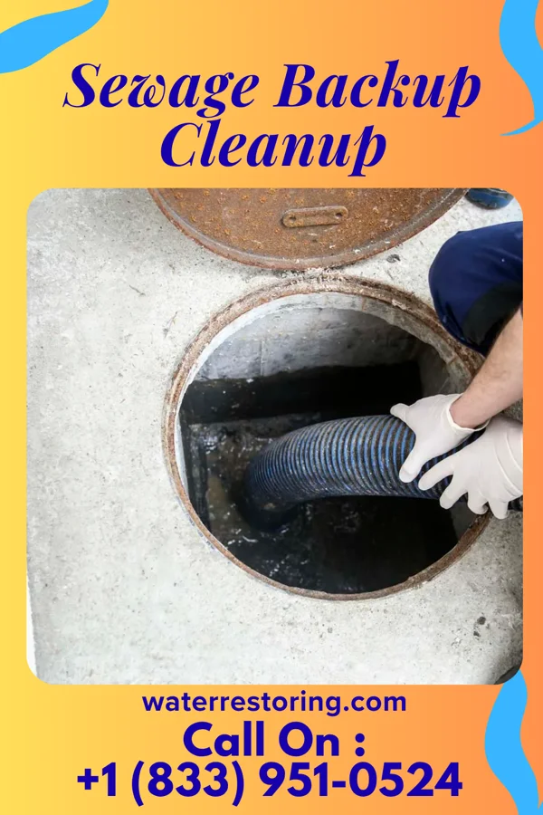 Sewage Backup Cleanup in Waltham, MA