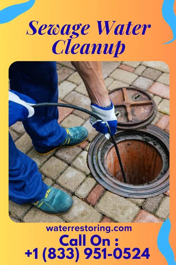 Sewage Water Cleanup in Waltham, MA